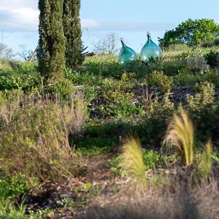 Patermater In South Tuscany- Rol 3*