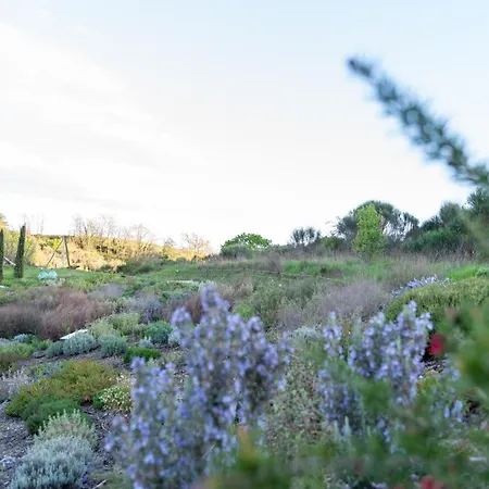 Patermater In South Tuscany- Rol فندق مبيت وإفطار 3*